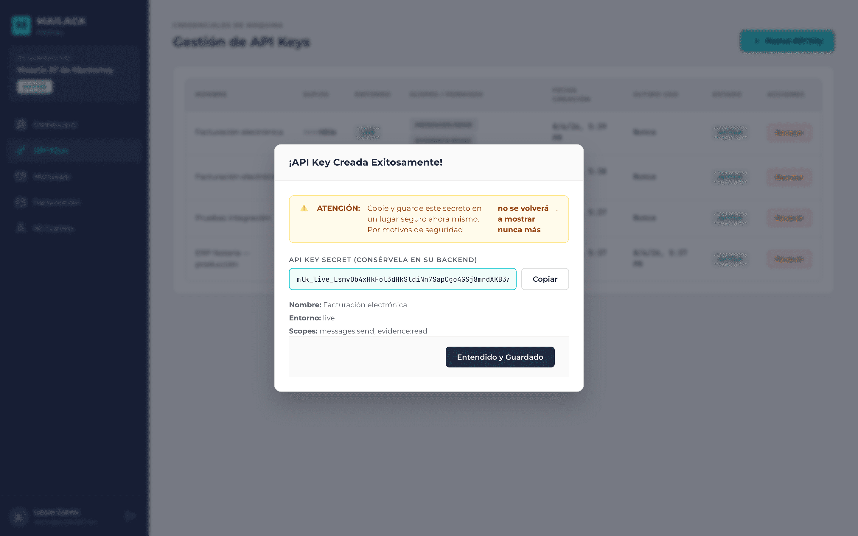 mailack portal modal showing the secret of a freshly created API key, visible only once